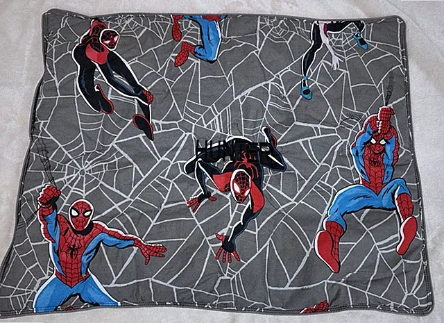 POTTERY BARN KIDS Marvel's Spider-Man Heroes Glow-in-the-Dark Pillow Sham Hunter
